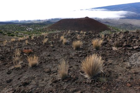 Začínám výstup na Mauna Kea.